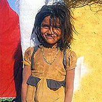 Dream Trust (India)